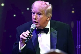 Donald Trump Avoid Movie Business Tim Allen Actor