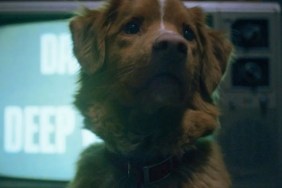 Good Boy Dog Wins This Major Honor Over Industry Icons