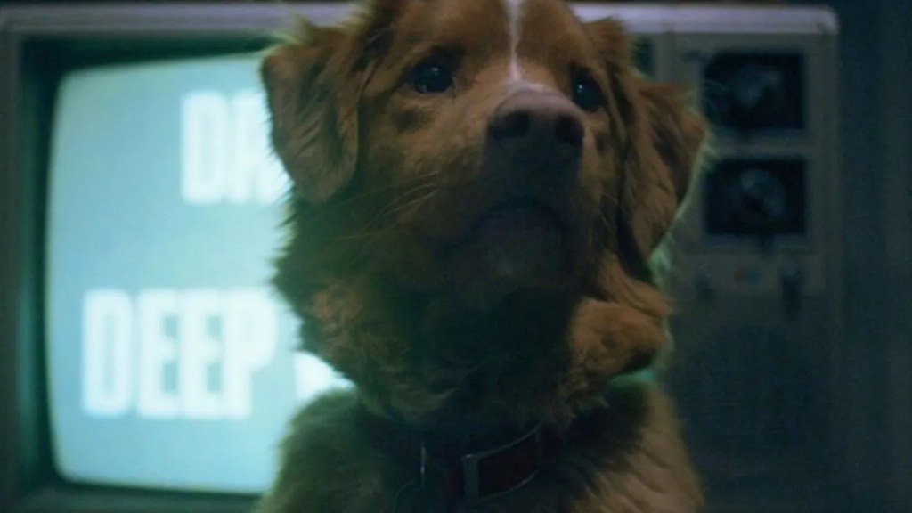 Good Boy Dog Wins This Major Honor Over Industry Icons