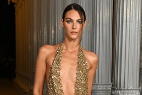 vittoria ceretti sheer body suit dress