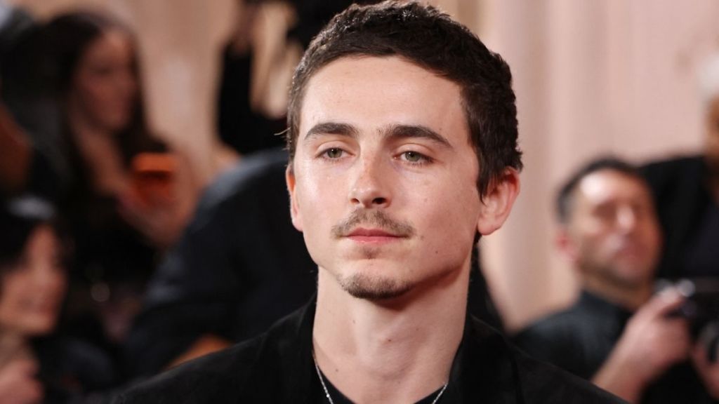 Timothee Chalamet Was Dissed By Woody Allen's Wife in Epstein Emails — Report