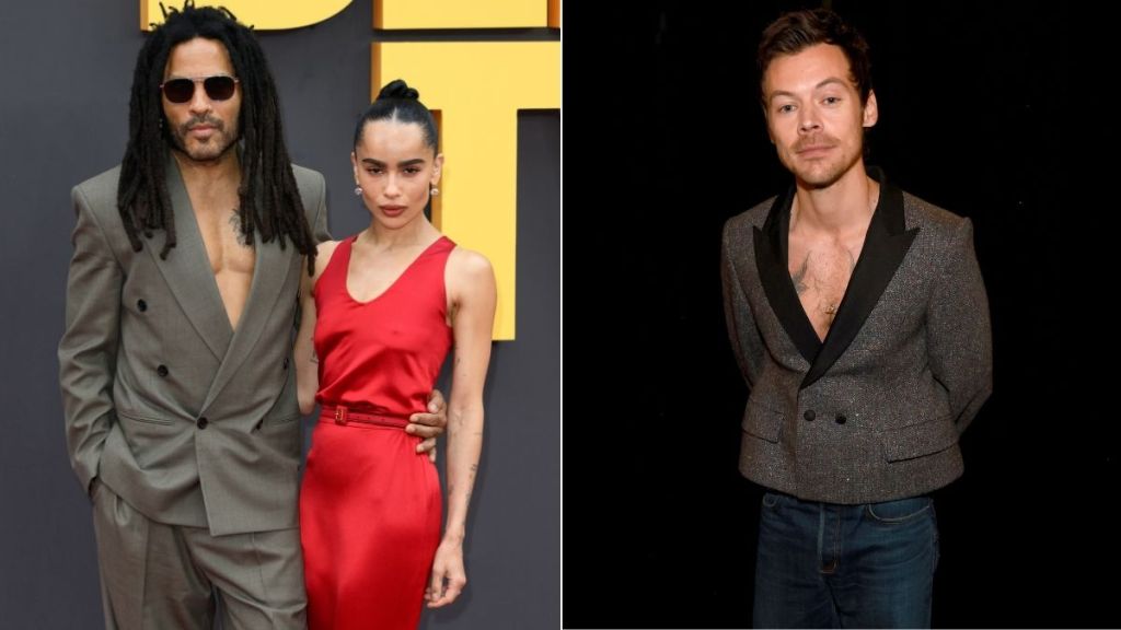 Zoe Kravitz's Dad 'Hurrying' Harry Styles for a Proposal — Source