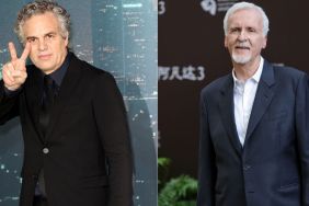 Mark Ruffalo Challenges James Cameron Over Netflix-Warner Bros. Critique