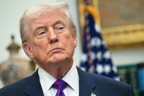 Angie Nixon's Donald Trump 'Arrested' Comment Sparks Outrage