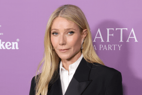 Gwyneth Paltrow Goes Full on WAG in Patriots Jersey & Shorts for Super Bowl