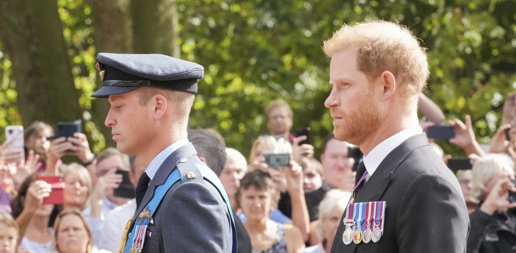 Prince William and Prince Harry