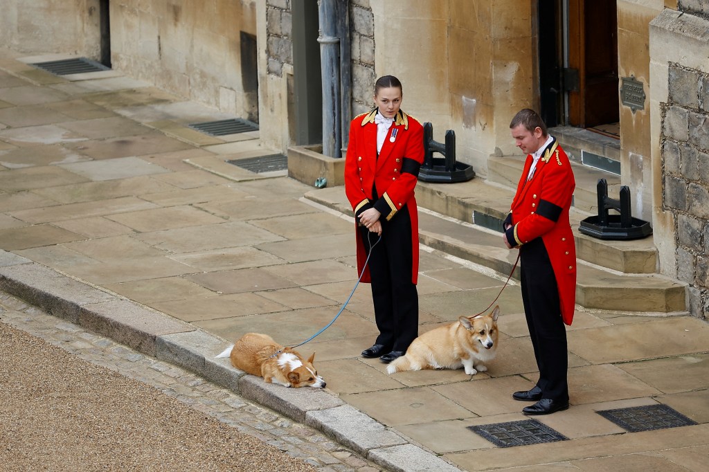 Queen Elizabeth's corgis 