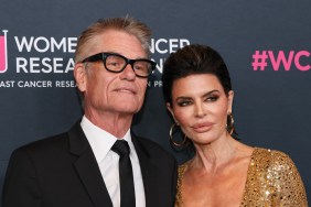 Lisa Rinna and Harry Hamlin