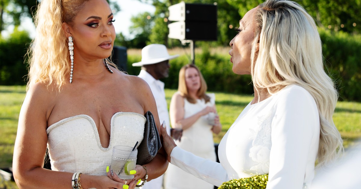 Two RHOP Stars Both Recently Dating Politicians: Details