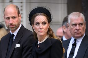 Prince William Kate Middleton Epstein Files