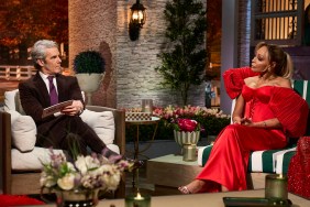 Karen Huger and Andy Cohen