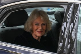 King Charles' wife Camilla
