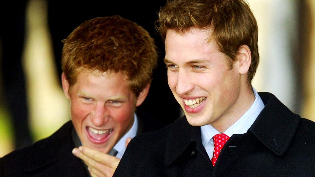 Prince Harry and Prince William 