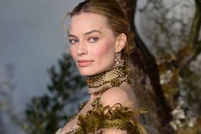 Margot Robbie's Sheer Dilara Findikoglu Corset Dress Has Hair Everywhere