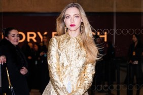 Amanda Seyfried’s Fully Sheer Aadnevik Dress’s High Slit Literally Pops
