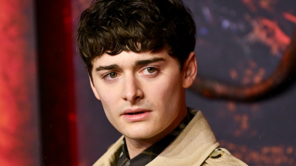 Stranger Things' Actor Supporting Canada in Men's Hockey Sparks Outrage