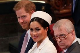 Prince Harry, Meghan, Prince Andrew