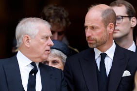 Prince William Against Protecting Ex-Prince Andrew Amid Scandal — Source