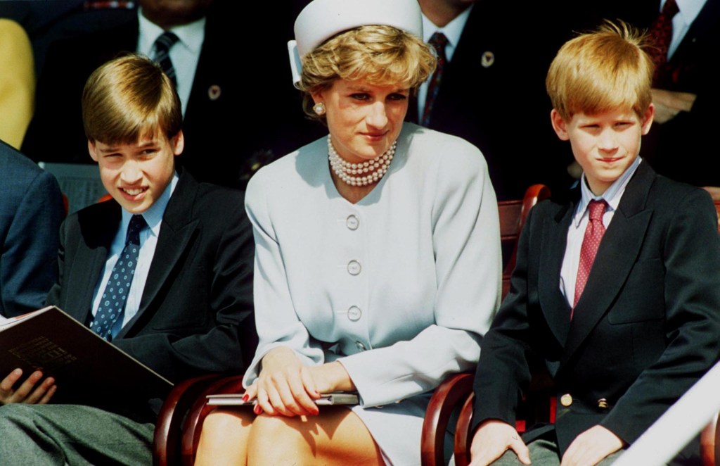 Princess Diana and sons