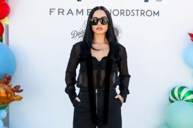 Demi Lovato Slays a Sheer Corset Top Amid Tour Announcement