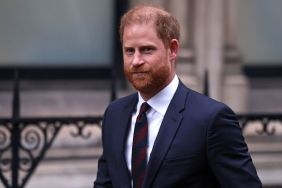 Prince Harry May Have Ulterior Motive Behind Royal Reunion — Source