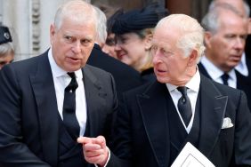‘Providing’ for Ex-Prince Andrew Is King Charles’ Only Option — Source