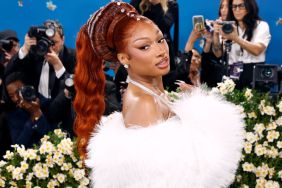 Megan Thee Stallion Goes Bold in Fully See-Through Dress for MFW Party