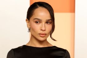 Zoe Kravitz & Harry Styles Likely Got Engaged Over New Year — Source