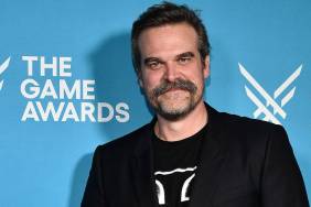 David Harbour a No-Show at Stranger Things Co-Star’s Wedding for NYC Outing