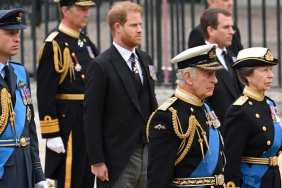 ‘Shift’ Between Prince Harry & Prince William Triggered by This — Author