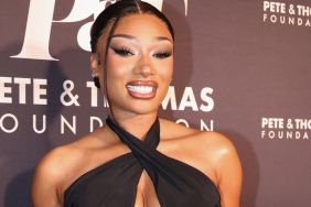 Megan Thee Stallion's Roberto Cavalli Dress Has High Slit & Hangs by String