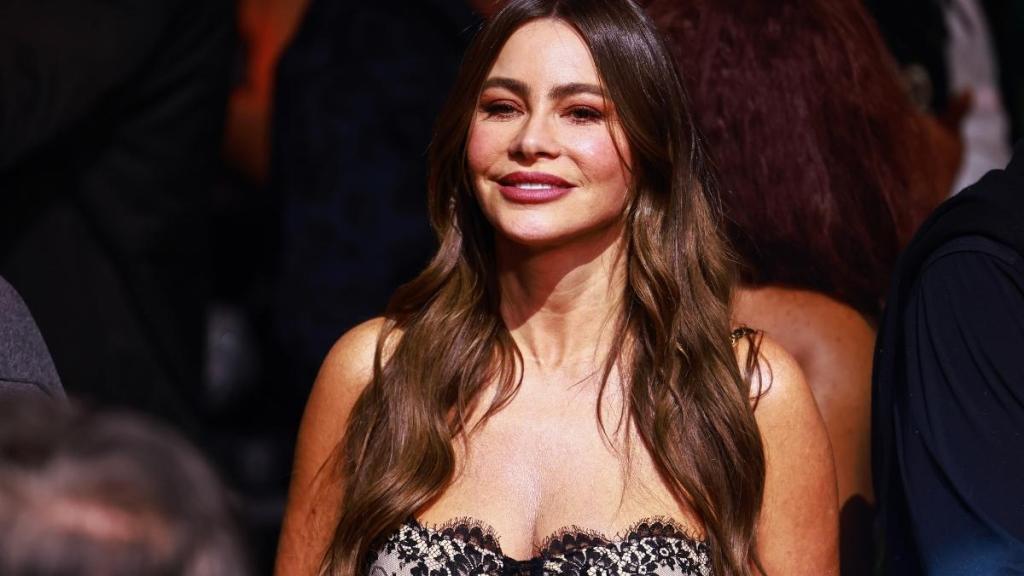 Sofia Vergara's Fully Sheer Corset Top Is Held by Two Strings for Family Outing