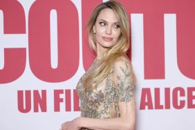 Angelina Jolie Turns Heads in Sheer Silver Dress For Movie Premiere