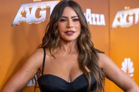 Sofia Vergara Sparks Dating Rumors With Spanish Actor After Split — Report
