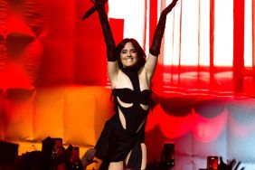 Camila Cabello Posts Beach Photos in Bold Bikini Amid New Update