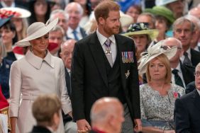 Meghan Markle Pleased She Isn't Royals' 'Scapegoat' Anymore — Source