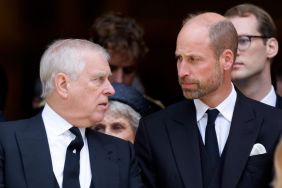 Prince William Demanded Ex-Prince Andrew’s Removal Before ‘Rot Set In’ — Author