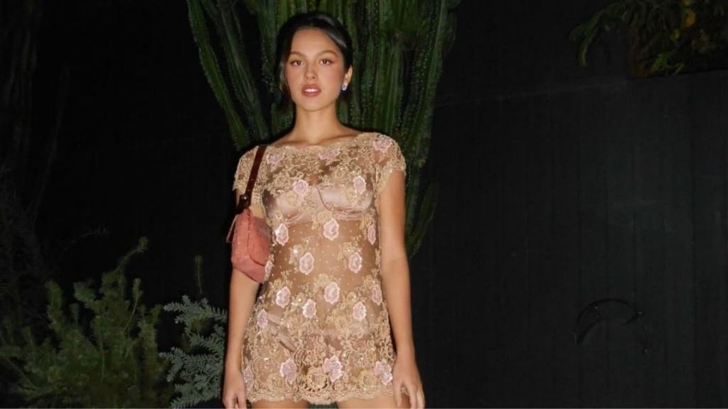 Olivia Rodrigo Brings Glamour in Sheer Dress This Weekend