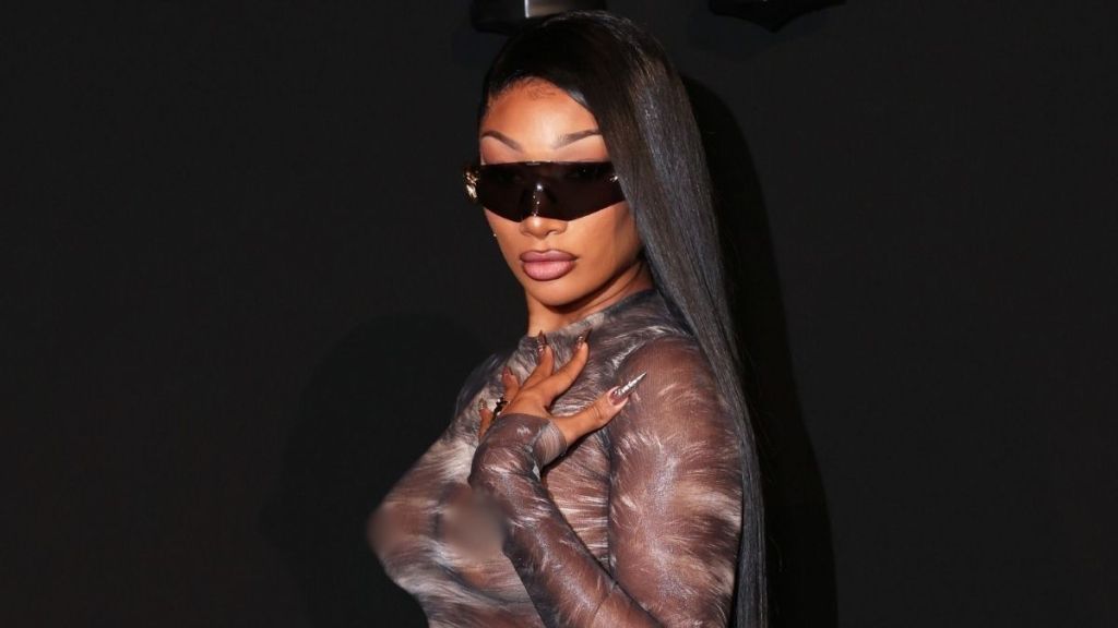 Megan Thee Stallion Goes Super Bold in Fully Sheer Roberto Cavalli Dress