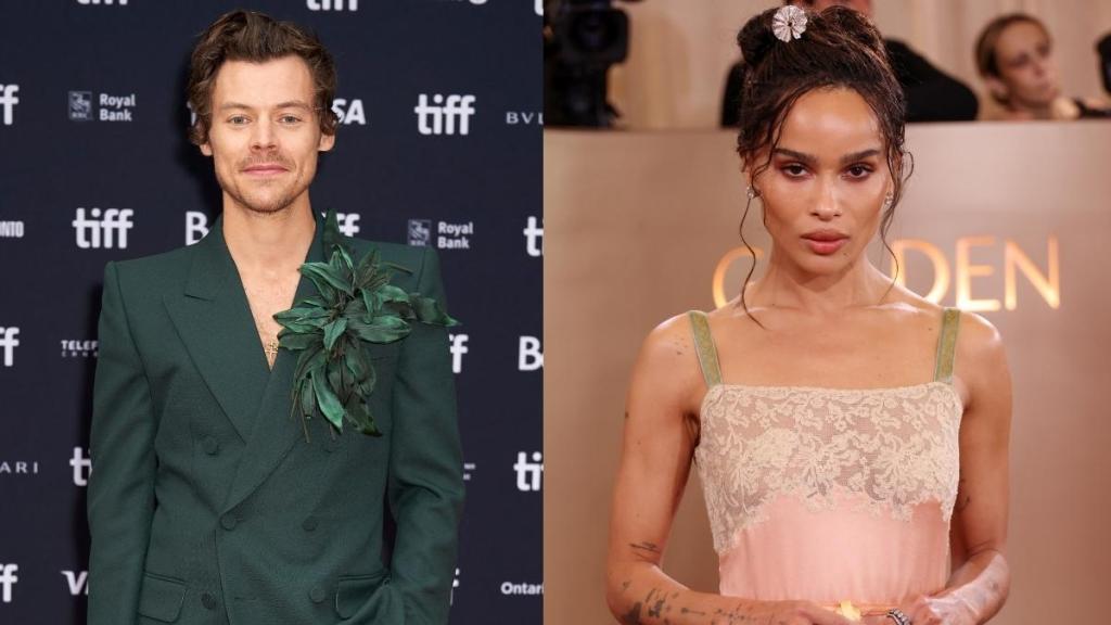 Zoe Kravitz Making Major Effort in Harry Styles Relationship — Source