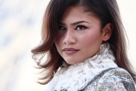 Zendaya hair transformation