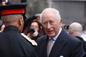 King Charles Faked 'Social Smile' at London Event Amid Brother's Arrest — Expert