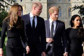 Prince Harry & Meghan Markle Once ‘Hijacked’ Prince William’s US Trip — Author