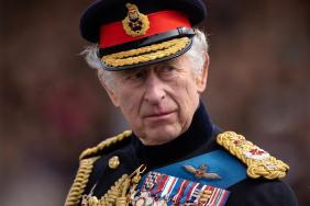 Hollywood A-Listers Share Ancestral Ties to Royal Family — Source