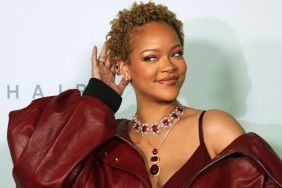 Woman Accused of Rihanna House Shooting Could Lose Job License — Report 