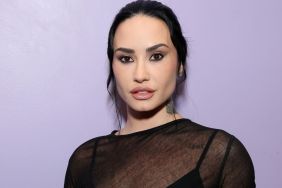 Demi Lovato’s Fully See-Through Top Takes Over Her Cookbook Event
