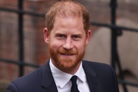 Prince Harry Allegedly 'Partied With Mail on Sunday Journalist' — Source