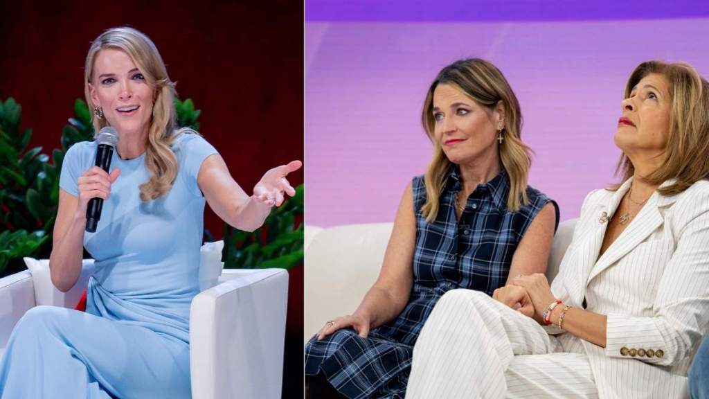 Megyn Kelly Slams Hoda Kotb's 'Acting' During Savannah Guthrie Interview