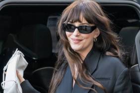 Dakota Johnson 'Playing the Field' After Chris Martin Split — Source