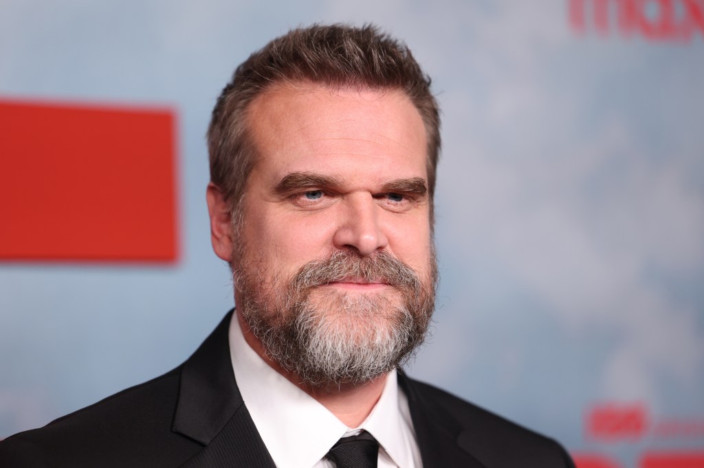 David Harbour 